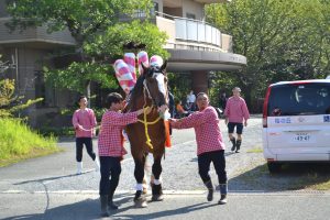 飾り馬の登場