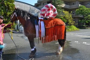 ホースの水を浴びる飾り馬